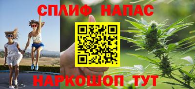 индика Будённовск