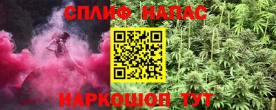 индика Будённовск