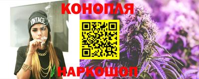 индика Будённовск