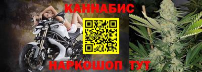 индика Будённовск