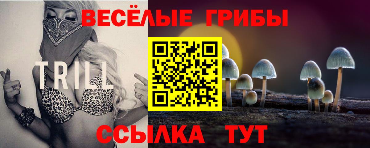 Ливны  продажа наркотиков  Вход с VPN  Псилоцибиновые грибы мицелий 