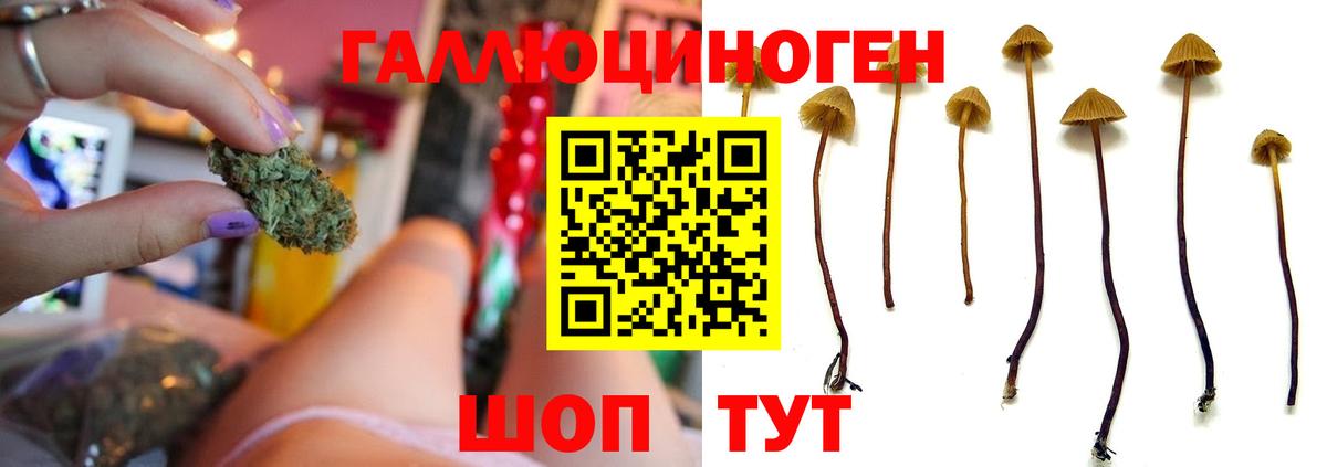 Псилоцибиновые грибы GOLDEN TEACHER Ливны